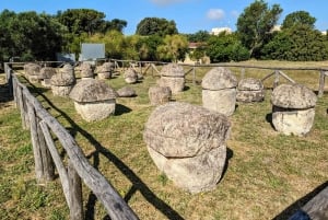 Jednodniowa wycieczka Rzym: Tarquinia i Cerveteri, wycieczka po Etruskach