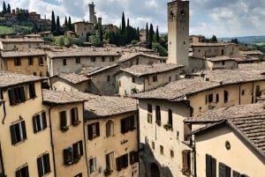 Day Trip to Siena and San Gimignano from Rome