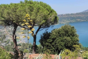 EBike Roman Castles : Papal Palace & Lake (Train from Rome)