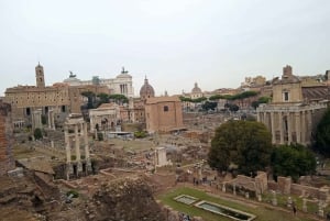 Exclusive tour of Ancient Rome and Domus Tiberiana