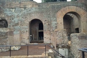Exclusive tour of Ancient Rome and Domus Tiberiana