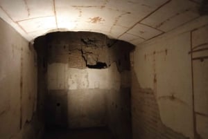 Exclusive tour of Ancient Rome and Domus Tiberiana