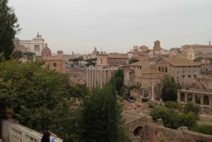 Exclusive tour of Ancient Rome and Domus Tiberiana