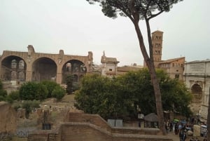 Exclusive tour of Ancient Rome and Domus Tiberiana