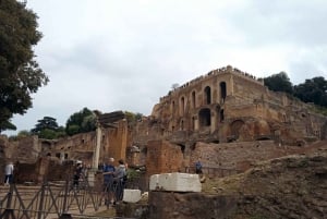 Exclusive tour of Ancient Rome and Domus Tiberiana