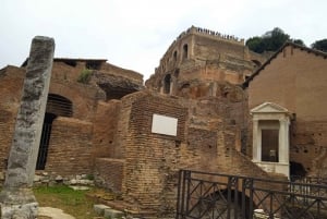 Exclusive tour of Ancient Rome and Domus Tiberiana