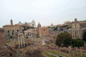 Exclusive tour of Ancient Rome and Domus Tiberiana