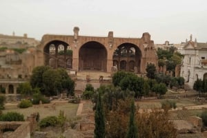 Exclusive tour of Ancient Rome and Domus Tiberiana