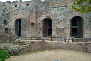 Exclusive tour of Ancient Rome and Domus Tiberiana