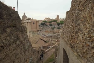 Exclusive tour of Ancient Rome and Domus Tiberiana