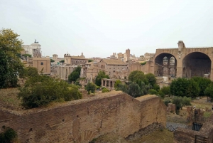 Exclusive tour of Ancient Rome and Domus Tiberiana