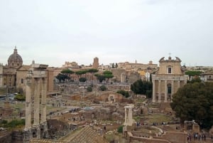 Exclusive tour of Ancient Rome and Domus Tiberiana