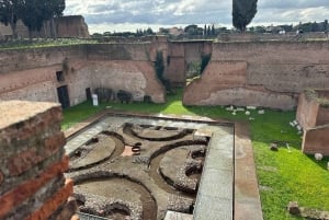 Exclusive tour of Ancient Rome and Domus Tiberiana