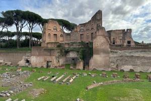 Exclusive tour of Ancient Rome and Domus Tiberiana