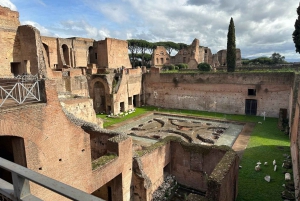 Exclusive tour of Ancient Rome and Domus Tiberiana