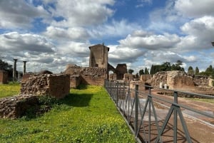 Exclusive tour of Ancient Rome and Domus Tiberiana