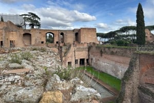 Exclusive tour of Ancient Rome and Domus Tiberiana