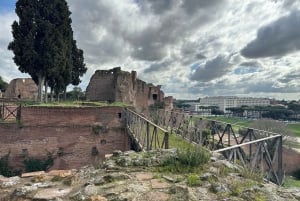 Exclusive tour of Ancient Rome and Domus Tiberiana