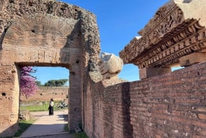 Exclusive tour of Ancient Rome and Domus Tiberiana