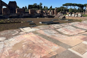 Exclusive tour of Ancient Rome and Domus Tiberiana