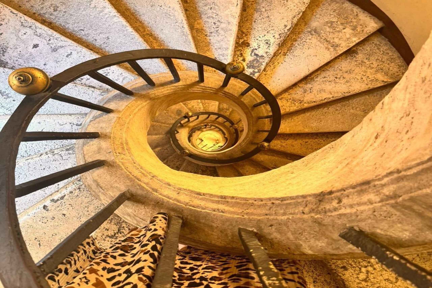 Udforsk Santa Maria Maggiore-basilikaen og andre muligheder