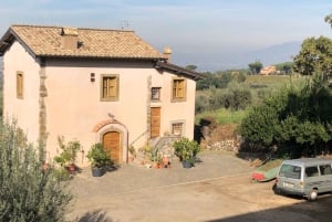 Frascatin viinitie Roomasta: Lounas