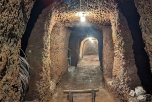 Frascatin viinitie Roomasta: Lounas