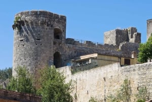 From Civitavecchia: Tarquinia & Unesco Site Visit with Lunch