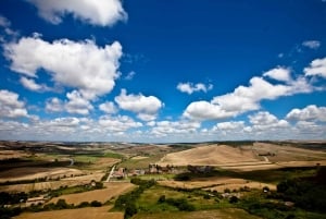From Civitavecchia: Tarquinia & Unesco Site Visit with Lunch