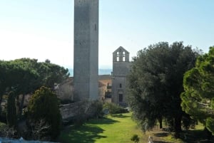 From Civitavecchia: Tarquinia & Unesco Site Visit with Lunch