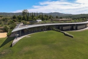 From Civitavecchia: Tuscany-Latium Wine Tour with Tastings