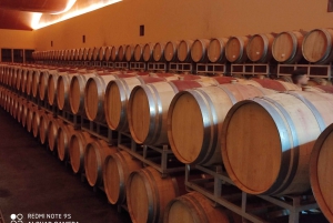 From Civitavecchia: Tuscany-Latium Wine Tour with Tastings