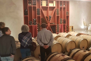 From Civitavecchia: Tuscany-Latium Wine Tour with Tastings