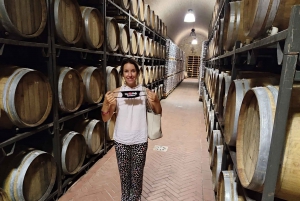 From Civitavecchia: Tuscany-Latium Wine Tour with Tastings