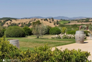 From Civitavecchia: Tuscany-Latium Wine Tour with Tastings