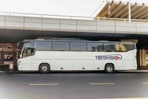 Rome: Bus Transfer Between Airport and Rome Termini Station