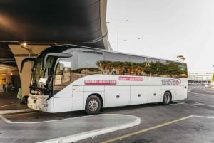 Rome: Bus Transfer Between Airport and Rome Termini Station