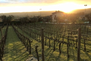 Od świni do kieliszka – odkryj Umbrię przez jej smaki