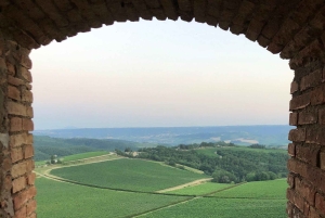 Od świni do kieliszka – odkryj Umbrię przez jej smaki