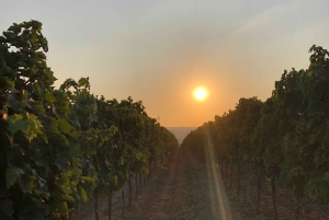 Od świni do kieliszka – odkryj Umbrię przez jej smaki