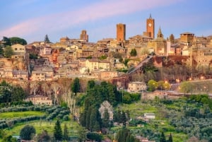 Desde Roma: Excursión de un día a Bagnoregio y Orvieto con vinos y almuerzo