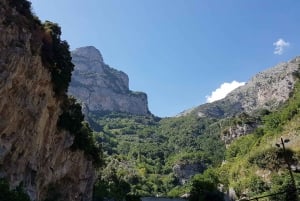 Au départ de Rome : Pompéi, Positano et Amalfi visite en petit groupe d'une journée