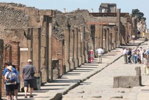 Au départ de Rome : Pompéi, Positano et Amalfi visite en petit groupe d'une journée