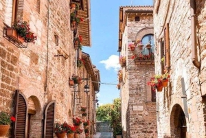 Desde Roma: tour para grupos pequeños por Asís y Cascia