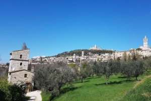 From Rome: Assisi and Orvieto Small Group Full-Day Tour