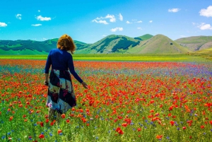 Da Roma: Assisi e Cassia Santa Rita Viaggio spirituale in Umbria