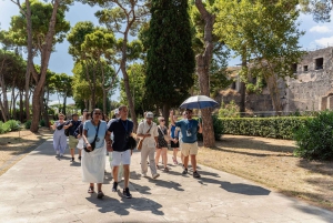 Da Roma: tour guidato del meglio di Pompei e gita di 1 giorno a Sorrento