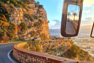 Da Roma: tour guidato del meglio di Pompei e gita di 1 giorno a Sorrento