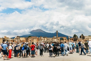 Da Roma: tour guidato del meglio di Pompei e gita di 1 giorno a Sorrento
