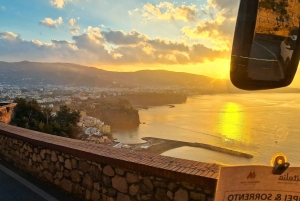 Da Roma: tour guidato del meglio di Pompei e gita di 1 giorno a Sorrento